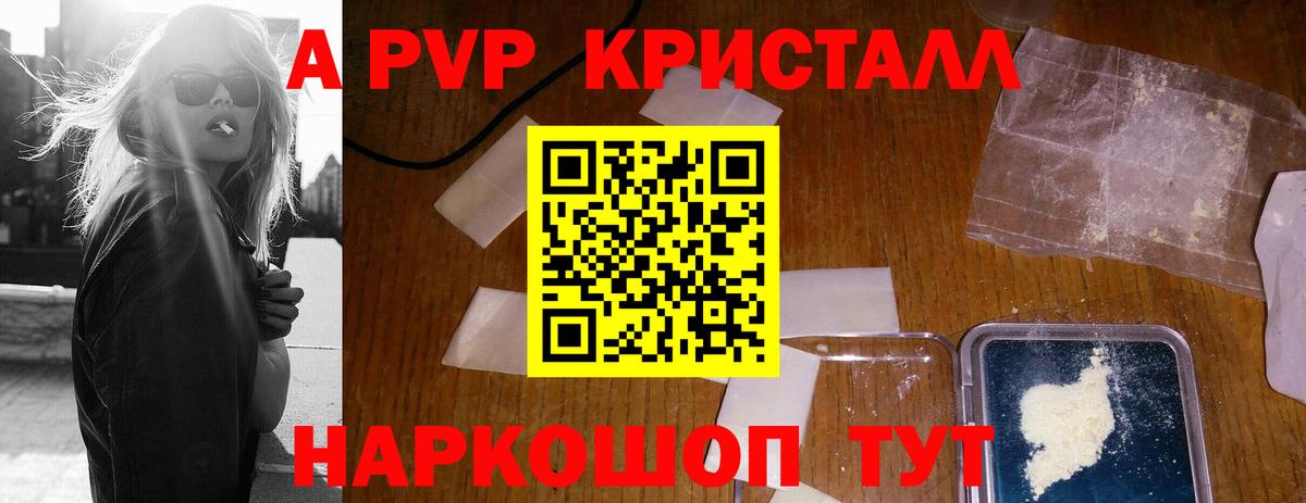 A PVP СК КРИС Самара