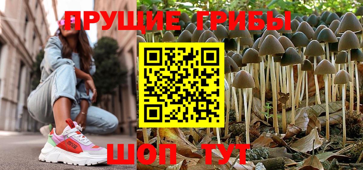 Галлюциногенные грибы Magic Shrooms  Вход с VPN  где купить наркотик  Самара 